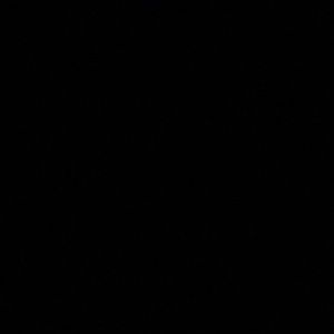 Meet your Posher, Allyson